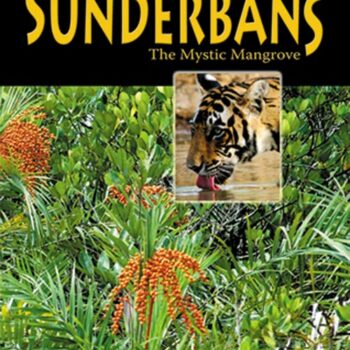 Sunderbans: The Mystic Mangrove