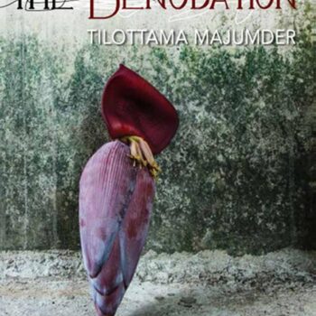 The Denudation