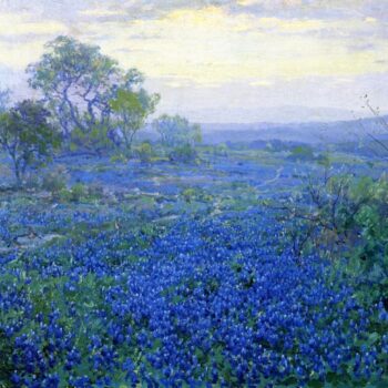 A Cloudy Day, Bluebonnets near San Antonio, Texas, 1918