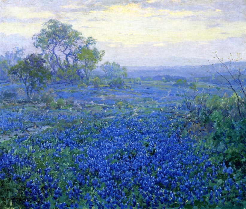 A Cloudy Day, Bluebonnets near San Antonio, Texas, 1918