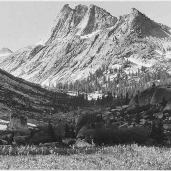 Adams - Boaring River, Kings River Canyon
