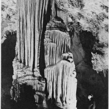 Adams - Carlsbad Caverns National Park New Mexico