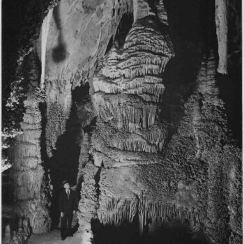 Adams - Carlsbad Caverns National Park New Mexico 2