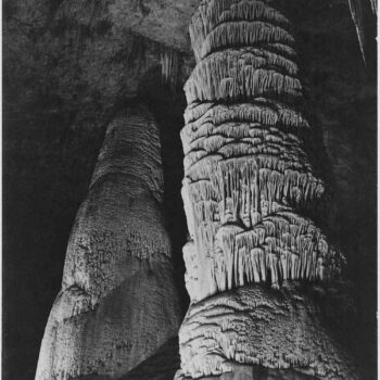 Adams - Carlsbad Caverns National Park New Mexico 3