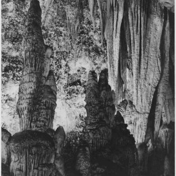 Adams - Carlsbad Caverns National Park New Mexico 4