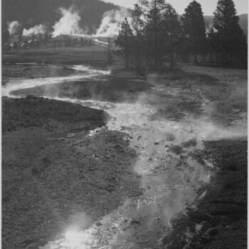 Adams - Central Geyser Basin, Yellowstone National Park, Wyoming