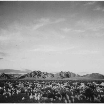 Adams - Death Valley 3