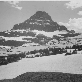 Adams - Glacier National Park Logans Pass