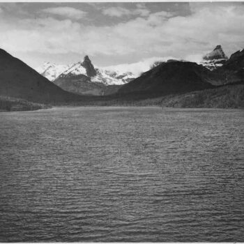 Adams - Glacier National Park Montana