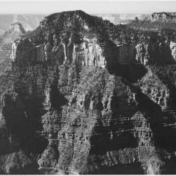 Adams - Grand Canyon 8