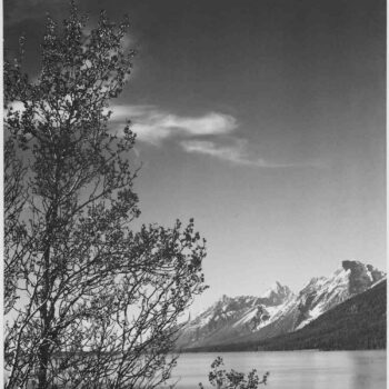 Adams - Grand Teton Wyoming