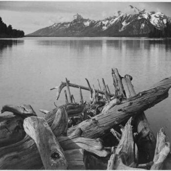 Adams - Jackson Lake in Grand Teton Wyoming