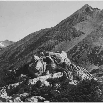 Adams - Kings Canyon California