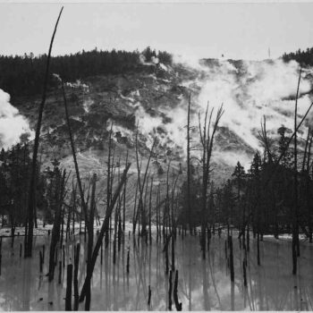 Adams - Roaring Mountain, Yellowstone National Park