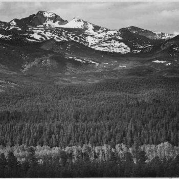 Adams - Rocky Mountain National Park Colorado