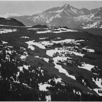 Adams - Rocky Mountain National Park Colorado 10