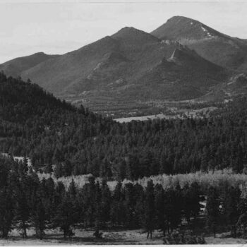 Adams - Rocky Mountain National Park Colorado 11