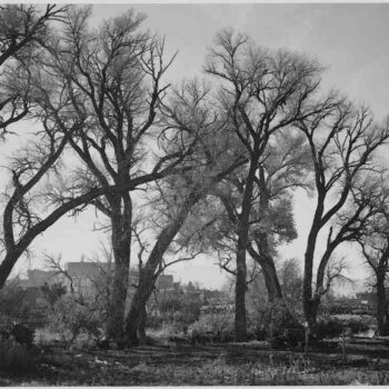 Adams - Taos Pueblo New Mexico 2