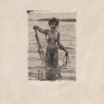 Anders Zorn - Seaweed (etching) 1910
