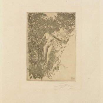 Anders Zorn - Thicket (etching) 1911