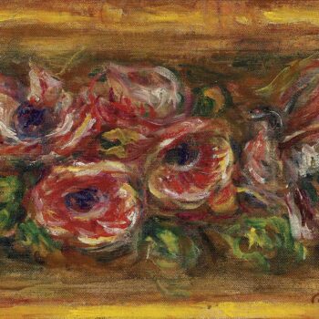 Anemones 02