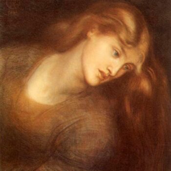 Aspecta Medusa, 1867