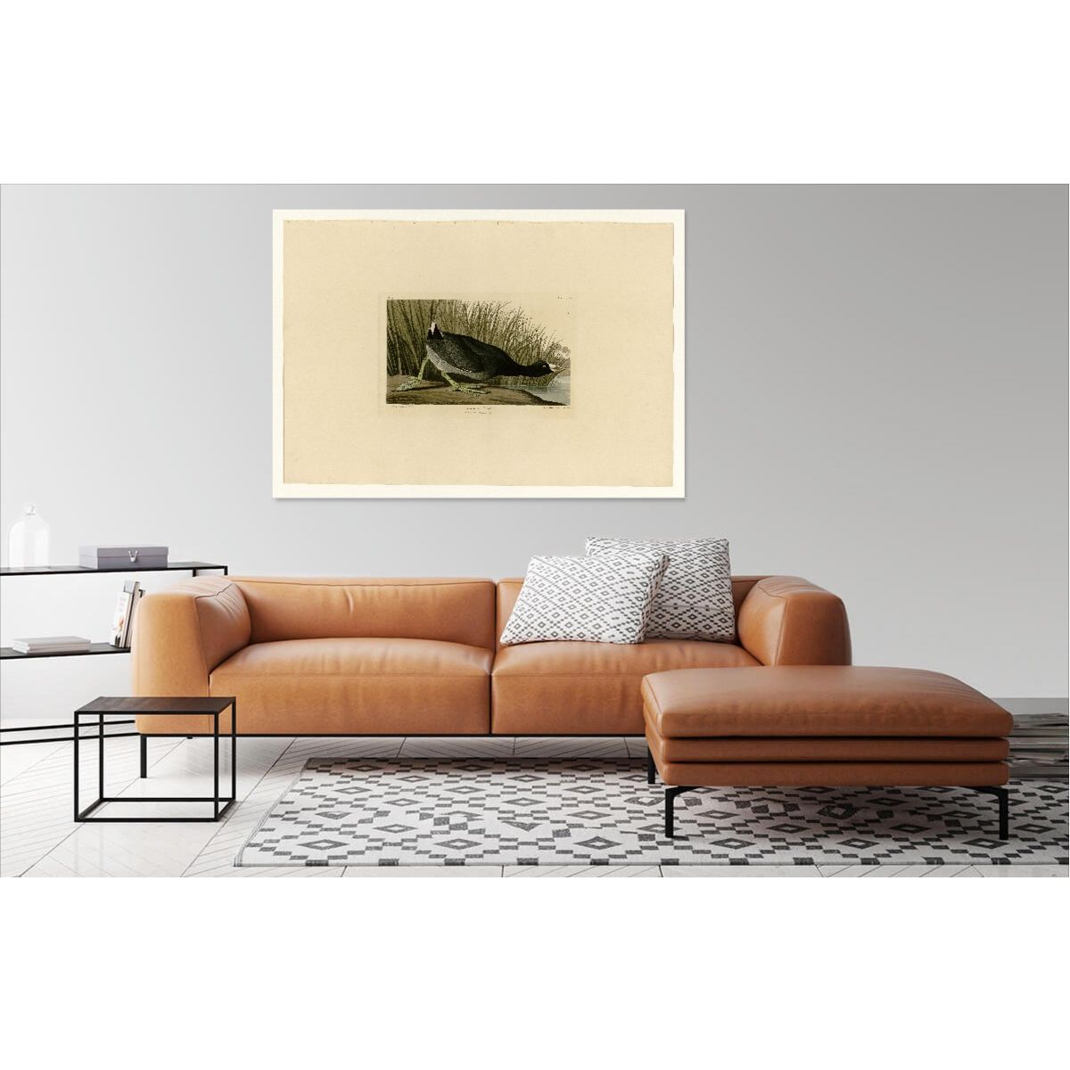 Audubon - American Coot - Plate 239 (2)