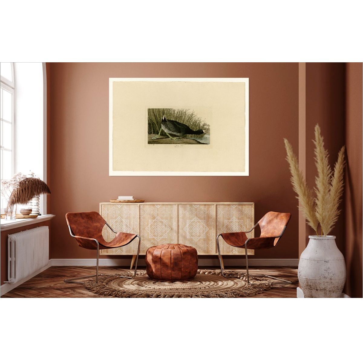 Audubon - American Coot - Plate 239 (3)