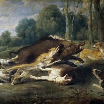 Baiting wild boar
