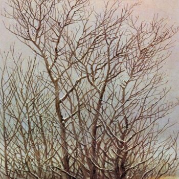 Baume und Straucher im Schnee (1828)
