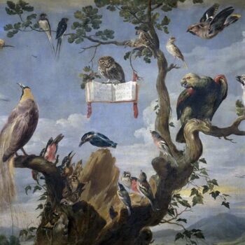 Bird Concert - 1629