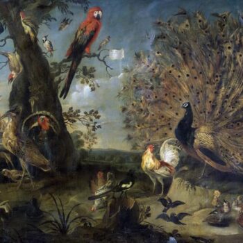 Bird Concerto - 1661