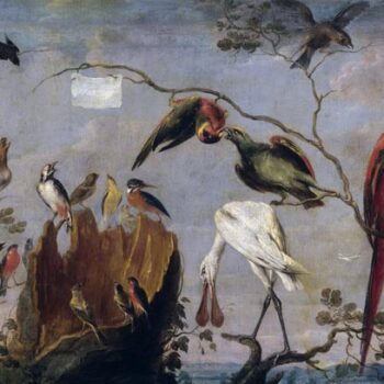 Bird concert