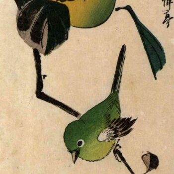 Bird on a persimmon tree by Hiroshige