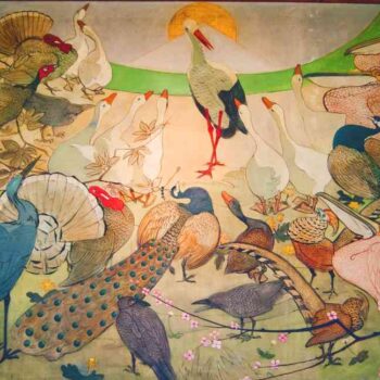 Birds