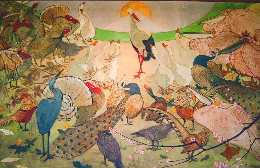 Birds