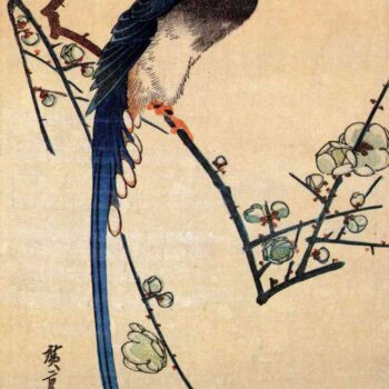 Blue bird on a plumtree by Hiroshige