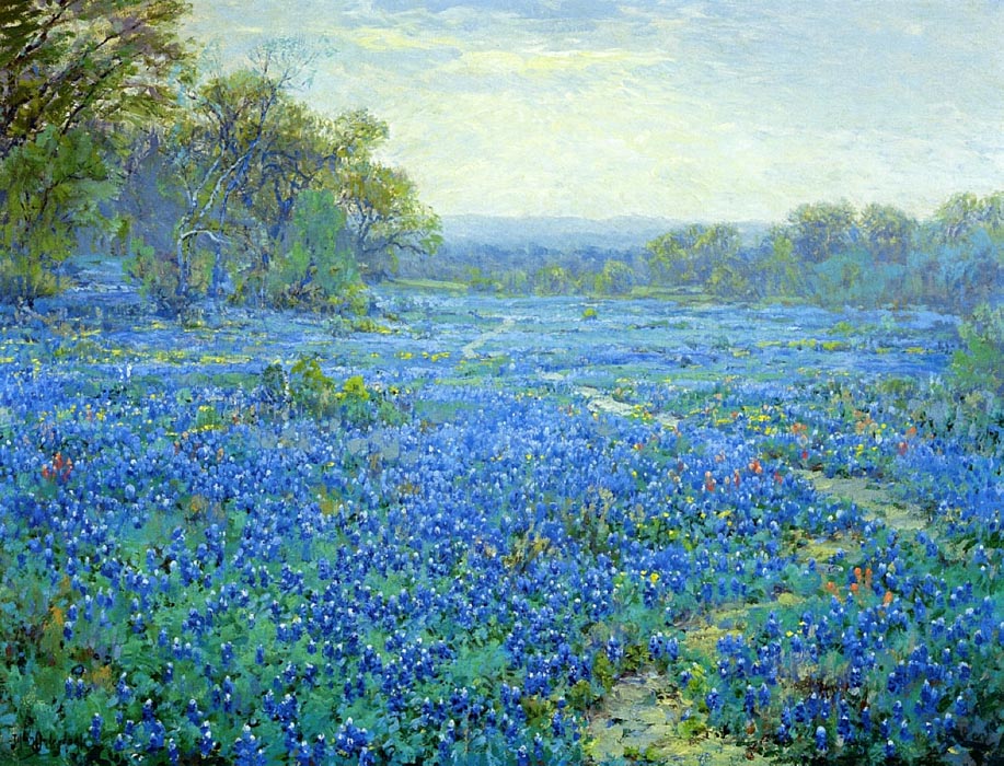 Bluebonnet Scene