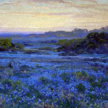 Bluebonnet Scene 02