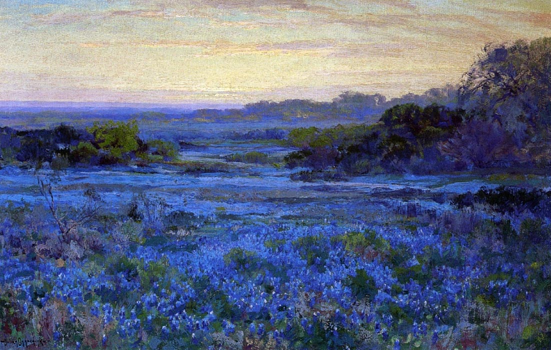 Bluebonnet Scene 02
