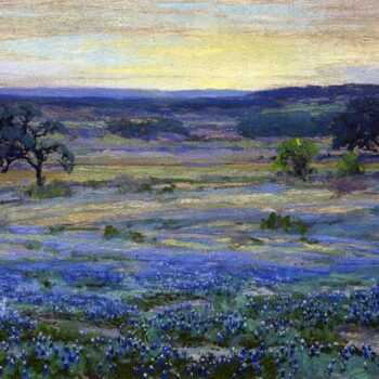 Bluebonnets at Dusk
