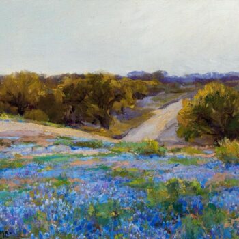Bluebonnets at Late Afternoon