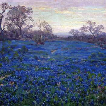 Bluebonnets at Twilight, near San Antonio, 1919-20