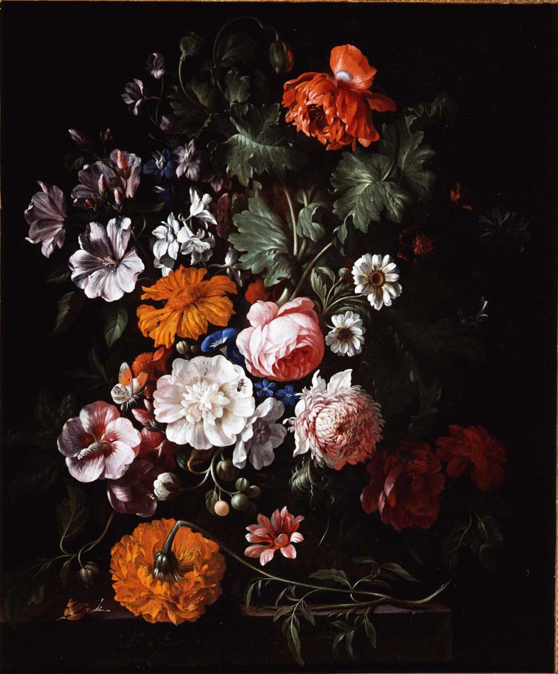 Bouquet of flowers in a vase
