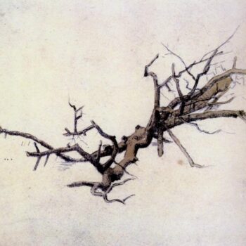 Branche de tilleul dessin crayon, lavis (1812)