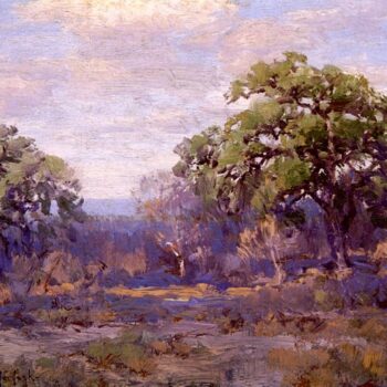 Brush Country Landscape