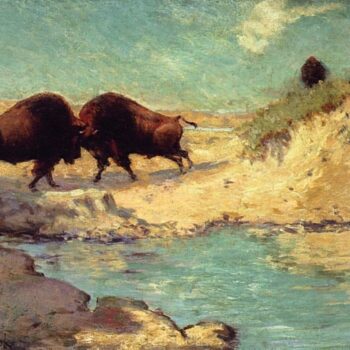 Buffalo Hunt # 10