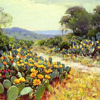 Cactus in Bloom, 1915