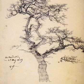 Chene denude dessin crayon (1809)