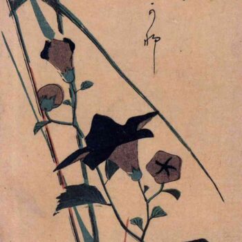 Chinese bell flower and reed by Hiroshige
